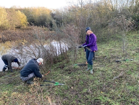 Volunteers clearing scrub around a pond
