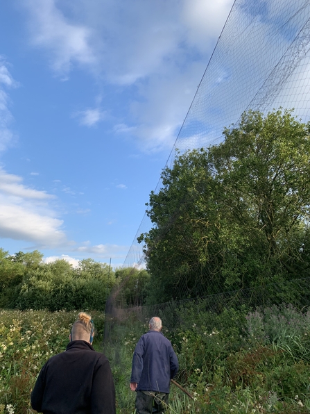 three people in woodland setting up bird ringing netting