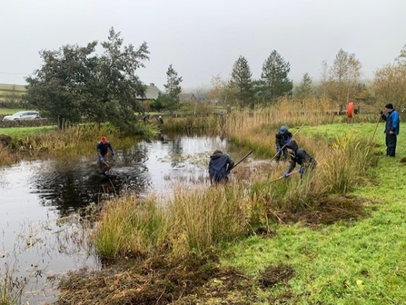 volunteers working in wetland habitat