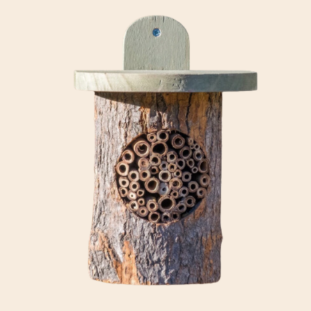 Solitary bee hotel 