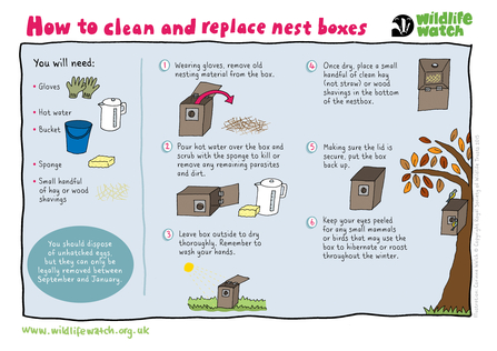 How to clean and replace nest boxes