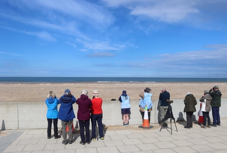 Group of people on pavement overlooking beach with sea in distance.