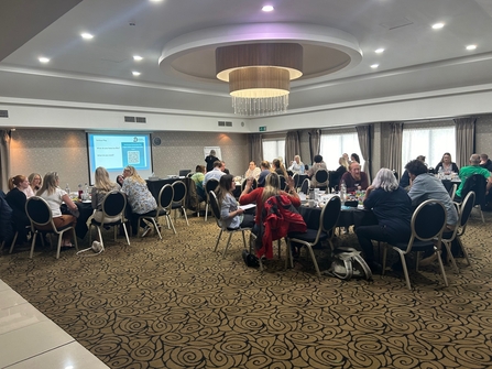 People around tables in large meeting room