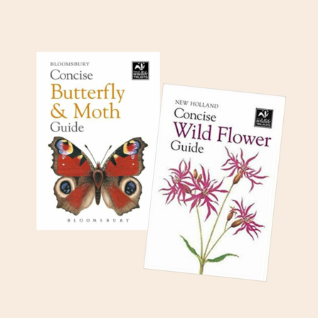 Butterfly and Wild Flower Concise Guides