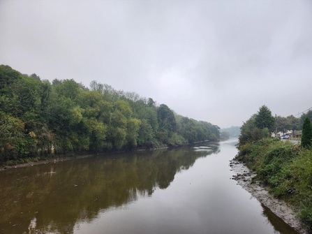 View along river with trees on either side