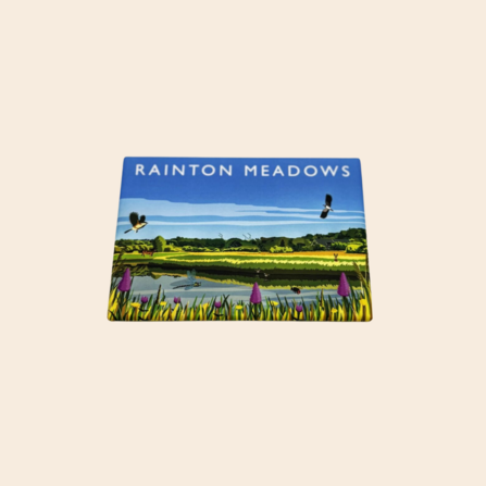 Rainton Meadows Magnet