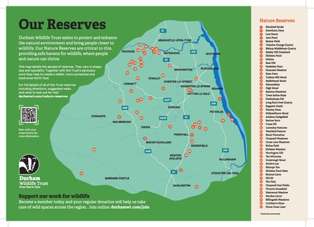 Map showing Durham Wildlife Trust nature reserves