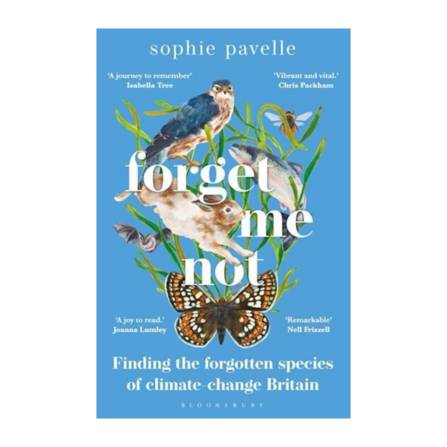 Forget Me Not by Sarah Pavelle