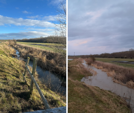 Side by side photos of River Skerne showing water levels over two days