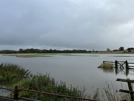 Flooded farmland 