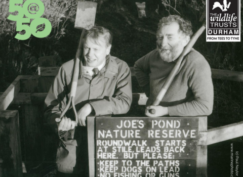 David Attenborough and David Bellamy at Joe's Pond