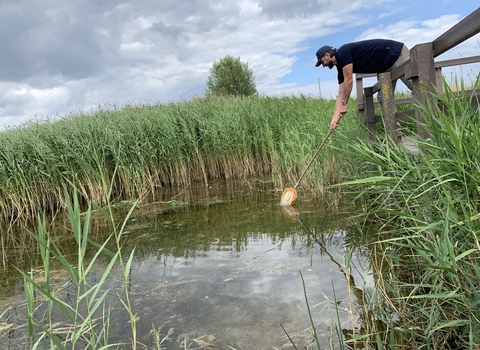 Nextdoor Nature officer Tom Parkin pond dipping from platform