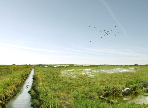 Visualisation of great north fen with stream running alongside wetland