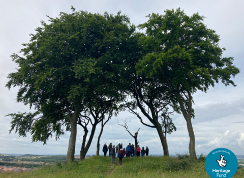 Small copse of trees with people standing underneath