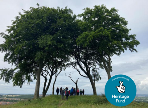 Links with Nature community group between trees