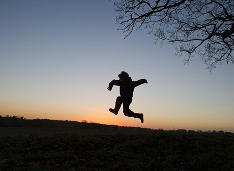 Young child silhouette jumping a sunset under tree